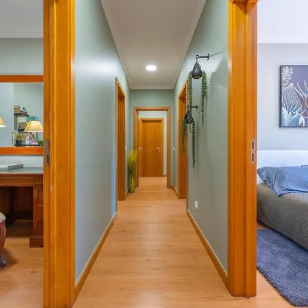 Super Anadia - Olive *