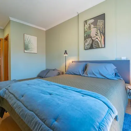 Super Anadia - Olive * Funchal (Madeira)