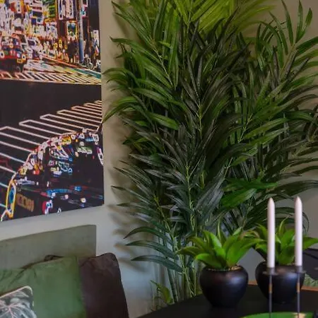 Super Anadia - Olive Apartment