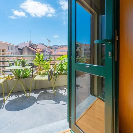 Super Anadia - Olive