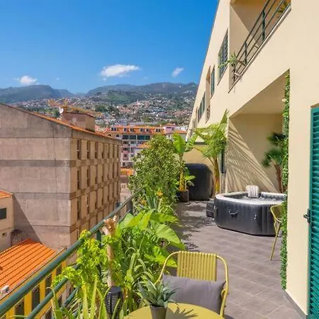 Super Anadia - Olive