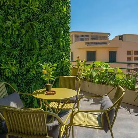 Super Anadia - Olive *